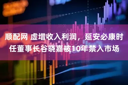顺配网 虚增收入利润，延安必康时任董事长谷晓嘉被10年禁入市场