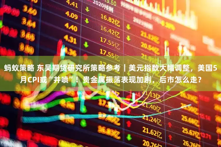 蚂蚁策略 东吴期货研究所策略参考｜美元指数大幅调整，美国5月CPI或“井喷”！贵金属振荡表现加剧，后市怎么走？