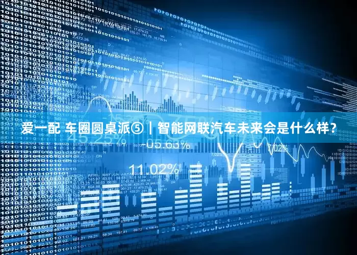 爱一配 车圈圆桌派⑤｜智能网联汽车未来会是什么样？